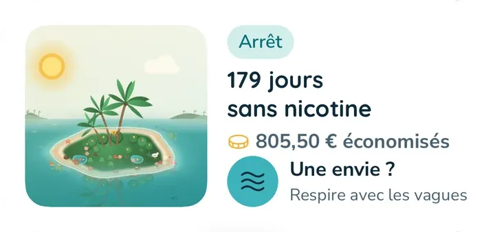 Le widget moyen : l'île, 179 jours sans nicotine, l'argent économisé et un bouton « Envie ? ».